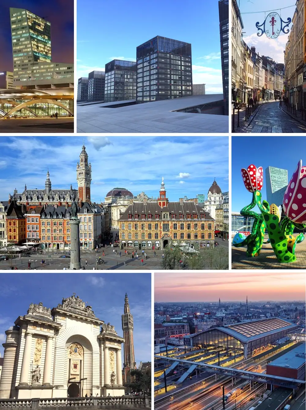 Vue de Lille, Hauts-de-France