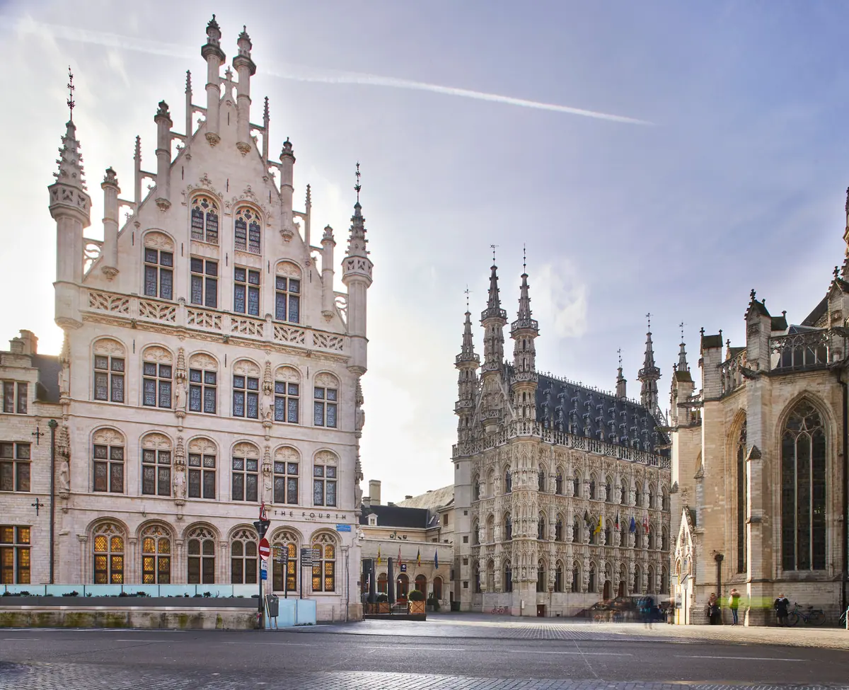 Vue de Louvain, Flandre